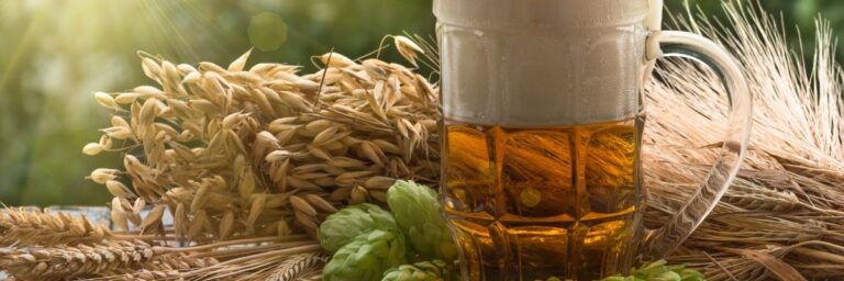 Buğday Birası ve Lager Karşılaştırması