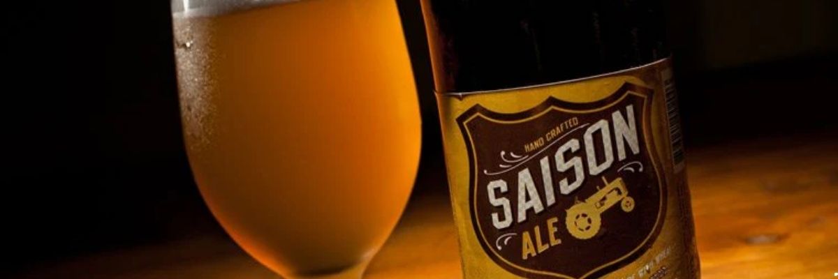 Saison Bira Stili Nedir Ferahlatıcı ve Baharatlı Özellikleri